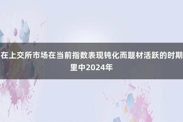 在上交所市场在当前指数表现钝化而题材活跃的时期里中2024年